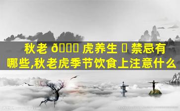秋老 💐 虎养生 ☘ 禁忌有哪些,秋老虎季节饮食上注意什么